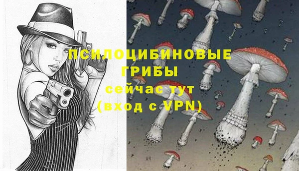 кокаин Горнозаводск